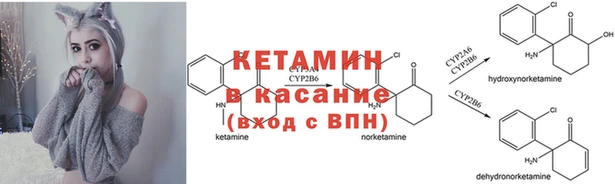 твердый Балахна