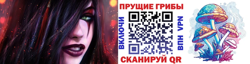 Галлюциногенные грибы Psilocybine cubensis  Снежногорск 